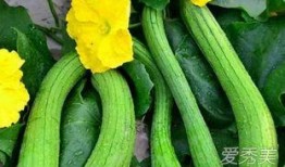 哪个网红连麦吃瓜好看一点,精彩瞬间大盘点！